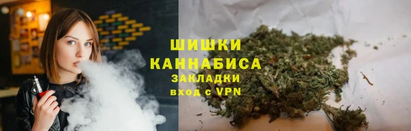 ПСИЛОЦИБИНОВЫЕ ГРИБЫ Белокуриха